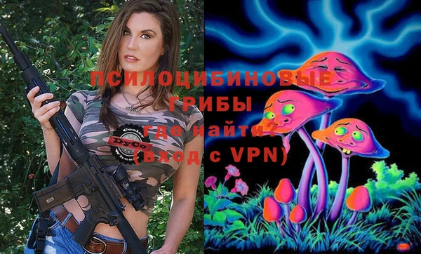 герыч Арсеньев