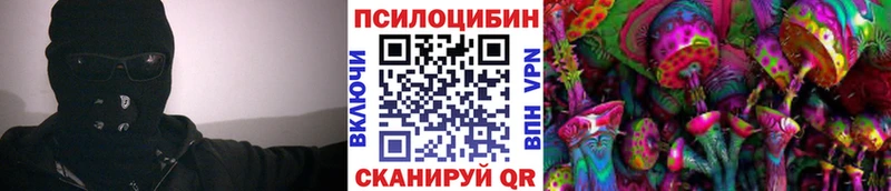 ссылка на мегу ссылки  Шимановск  Галлюциногенные грибы Psilocybe  где купить наркоту 